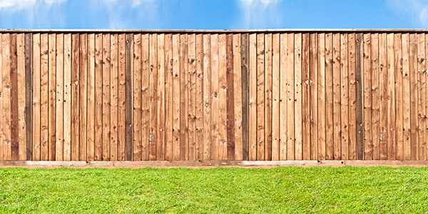 Fence cleaning