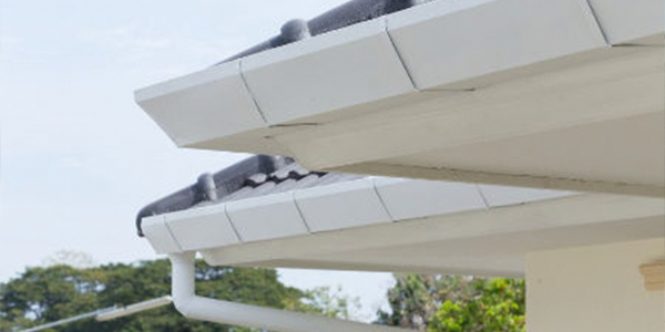 Gutter Cleaning
